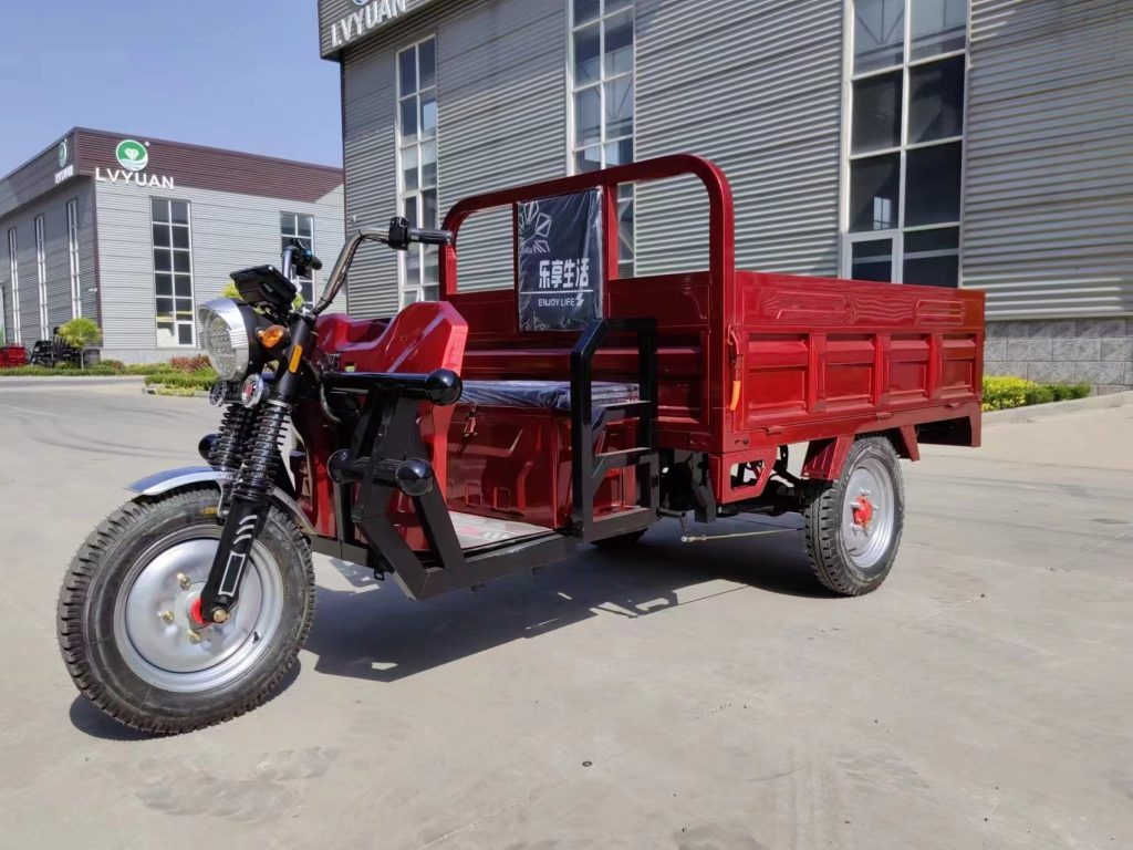 Electric 3 Wheel Bike